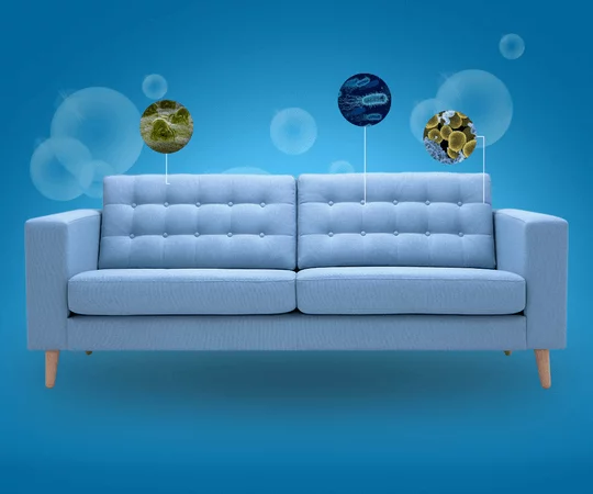 limpeza pos obra df